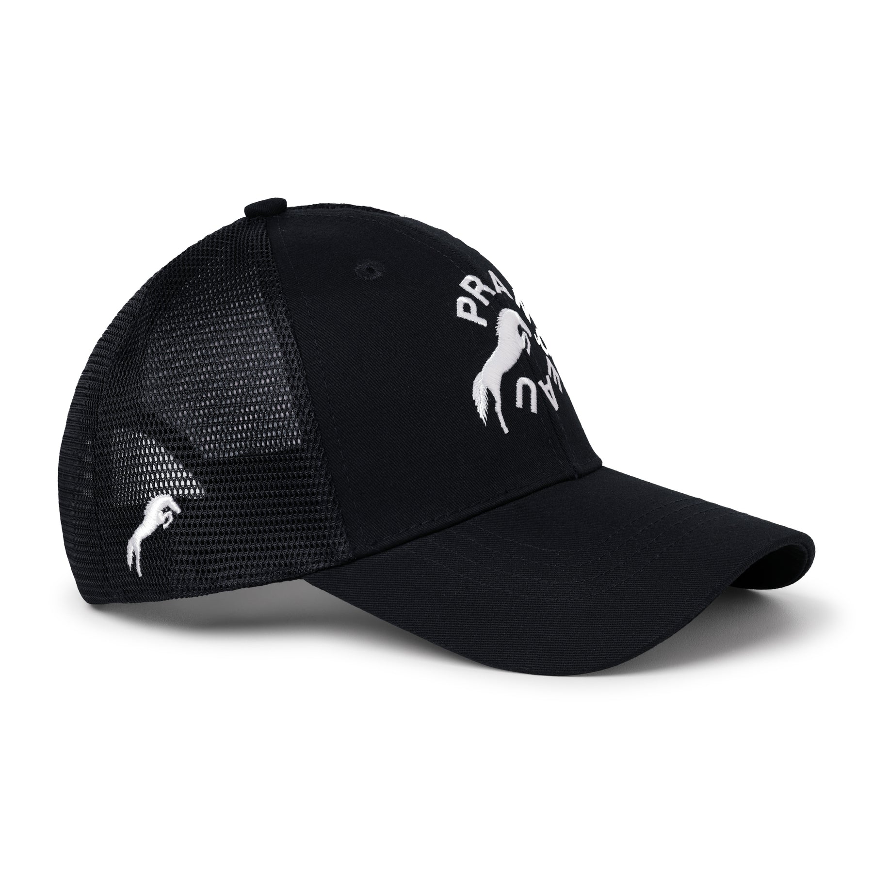 Arena Hat
