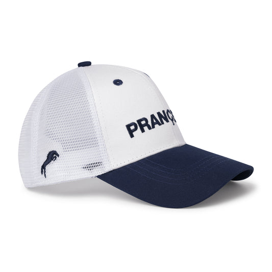 Stable Hat