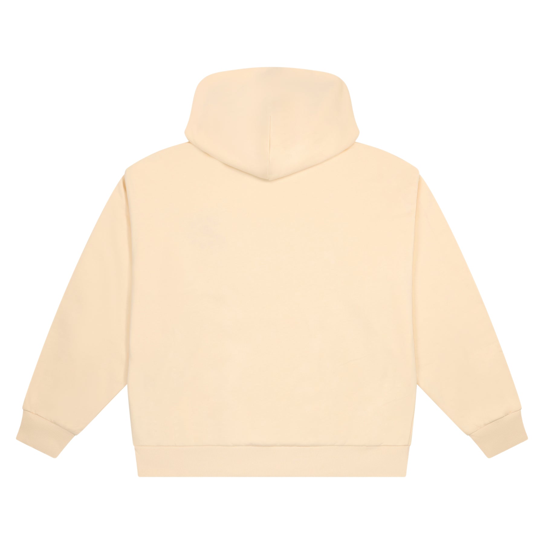 Arena Hoodie
